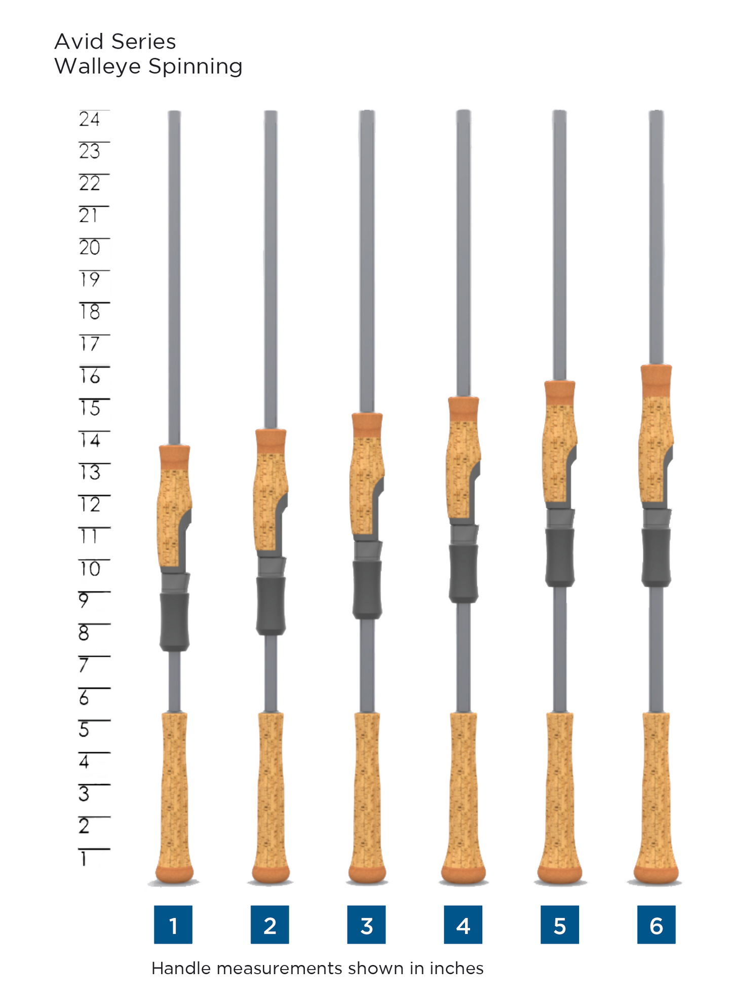 AVID SERIES WALLEYE SPINNING